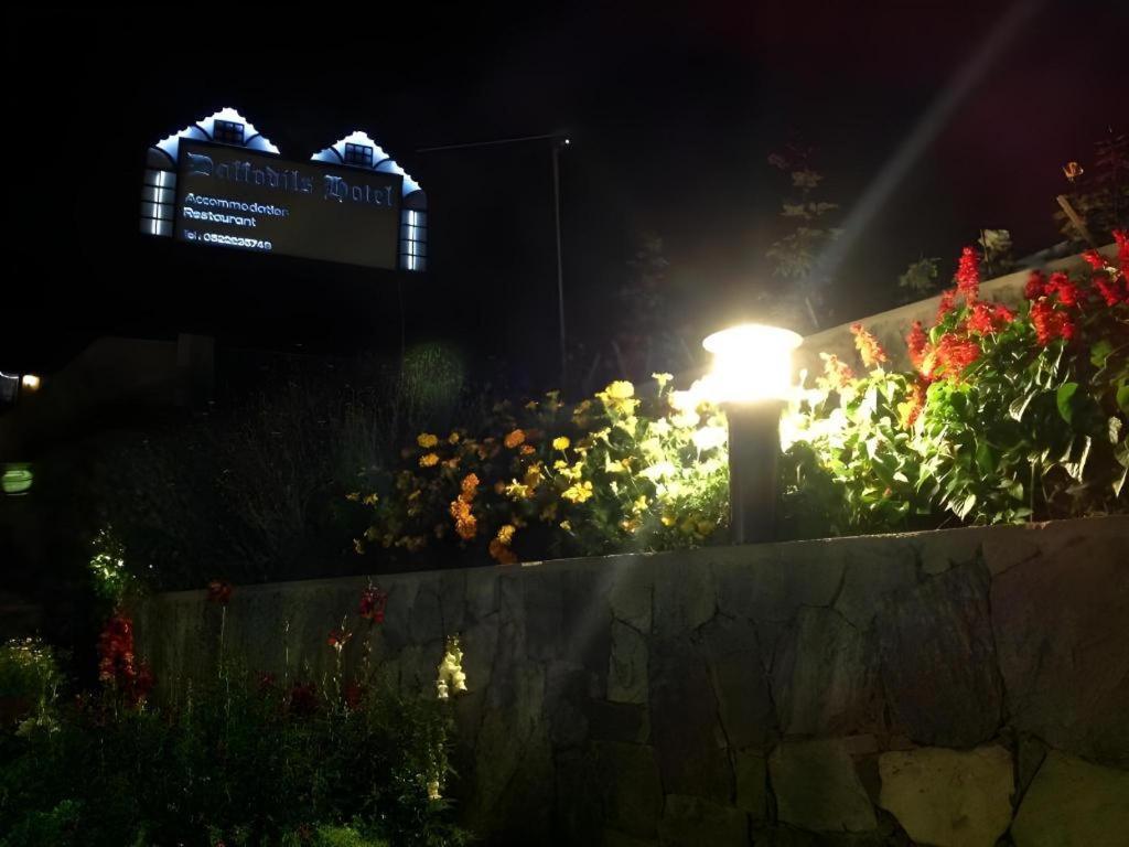Daffodil'S Hotel Нувара-Елія Екстер'єр фото